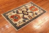 2x3 Hand Knotted Aryana Area Rug