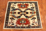 2x3 Hand Knotted Aryana Area Rug