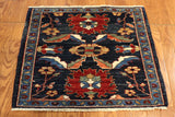 2x3 Hand Knotted Aryana Area Rug