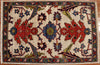 2x3 Hand Knotted Aryana Area Rug