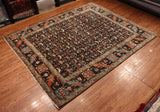 8x10 Hand Knotted Fine Aryana Area Rug