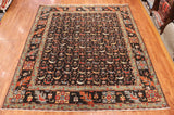8x10 Hand Knotted Fine Aryana Area Rug