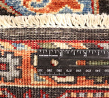 4x6 Hand Knotted Aryana Area Rug