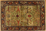 4x6 Hand Knotted Fine Aryana Area Rug