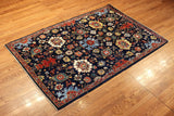 4x6 Hand Knotted Aryana Area Rug