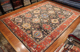 10x14 Hand Knotted Aryana Area Rug