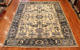 8x10 Hand Knotted Aryana Area Rug