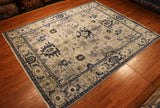 8x10 Hand Knotted Aryana Area Rug