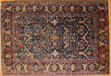 6x9 Hand Knotted Aryana Area Rug