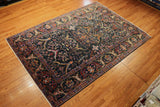 6x9 Hand Knotted Aryana Area Rug