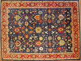 9x12 Hand Knotted Aryana Area Rug