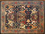 9x12 Hand Knotted Aryana Area Rug