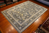 9x12 Hand Knotted Aryana Area Rug