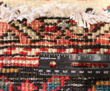 10x12 Hand Knotted Bakhtiari Area Rug