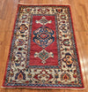 3x5 Hand Knotted Aryana Area Rug