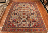 9x12 Hand Knotted Aryana Area Rug