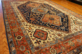 6x9 Hand Knotted Aryana Area Rug