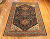 6x9 Hand Knotted Aryana Area Rug