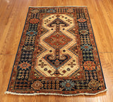 3x5 Hand Knotted Aryana Area Rug