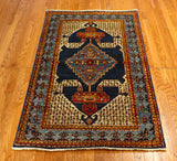 3x5 Hand Knotted Aryana Area Rug