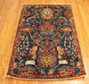 3x5 Hand Knotted Aryana Area Rug