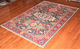 4x6 Hand Knotted Sina Area Rug