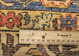 5x7 Hand Knotted Sina Area Rug