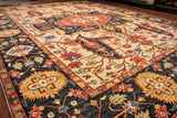 9x12 Hand Knotted Aryana Area Rug