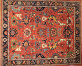 8x10 Hand Knotted Aryana Area Rug