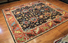 8x10 Hand Knotted Aryana Area Rug