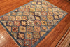 4x6 Hand Knotted Aryana Area Rug