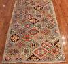 3x5 Hand Knotted Aryana Area Rug