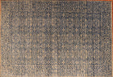 6x9 Hand Knotted Aryana Area Rug