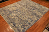 8x10 Hand Knotted Transitional Aryana Area Rug