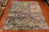 8x10 Hand Knotted Transitional Aryana Area Rug