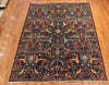 6x9 Hand Knotted Fine Aryana Area Rug