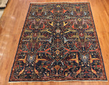 6x9 Hand Knotted Fine Aryana Area Rug