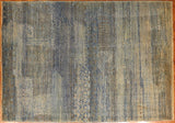 4x6 Hand Knotted Fine Aryana Area Rug