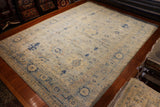 10x14 Hand Knotted Aryana Area Rug