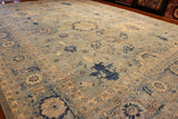 10x14 Hand Knotted Aryana Area Rug