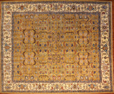 8x10 Hand Knotted Aryana Area Rug