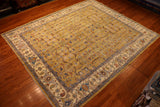 8x10 Hand Knotted Aryana Area Rug