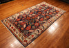 5x9 Hand knotted Aryana Area Rug