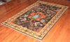 4x6 Hand Knotted Sina Area Rug