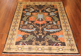 4x6 Hand Knotted Sina Area Rug