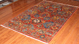 4x6 Hand Knotted Aryana Area Rug