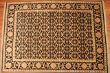 6x8 Hand Knotted Persian Area Rug