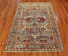 4x6 Hand Knotted Aryana Area Rug