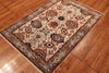 3x5 Hand Knotted Aryana Area Rug