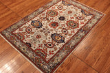 3x5 Hand Knotted Aryana Area Rug